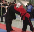 /album/campeonato-brasileiro-de-hapkido-2010-ibitinga-sp/foto-evento-luta-2-jpg/